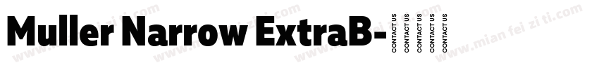 Muller Narrow ExtraB字体转换
